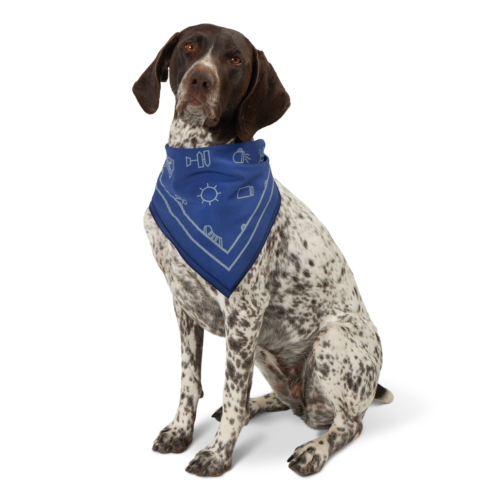 Arcadia Trail® Icons High Visibility Dog Bandana