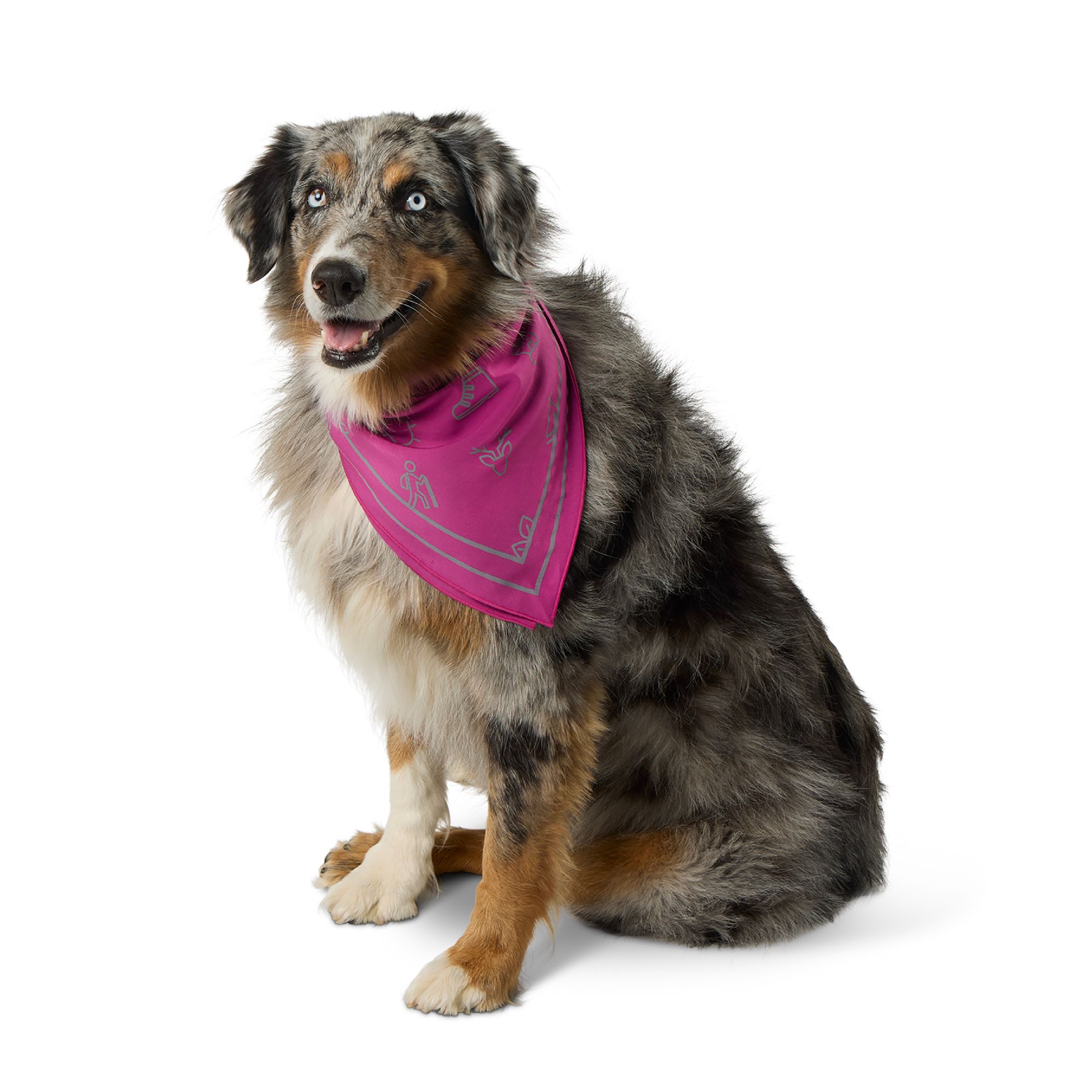 Arcadia Trail® Icons High Visibility Dog Bandana