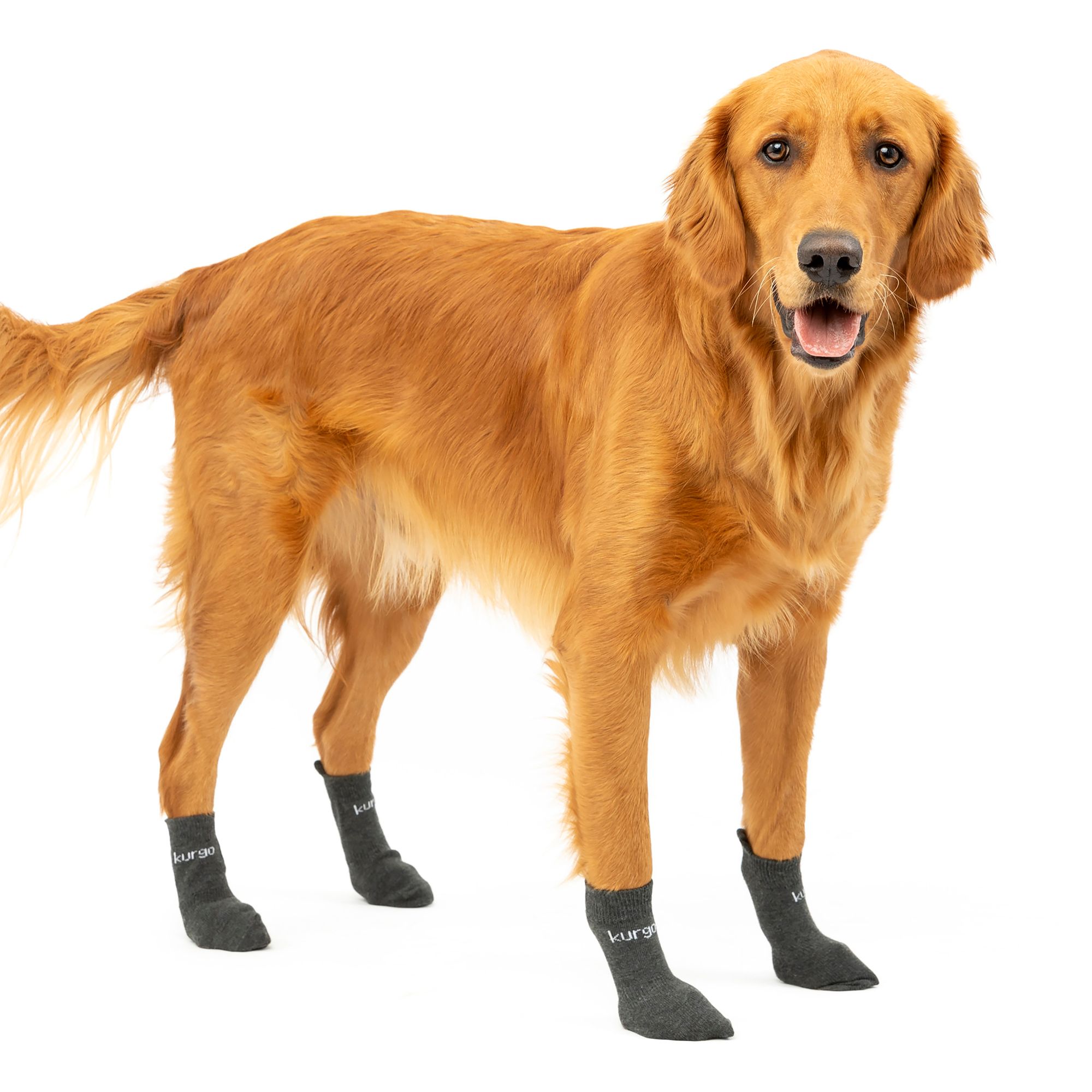Kurgo® Blaze Dog Socks