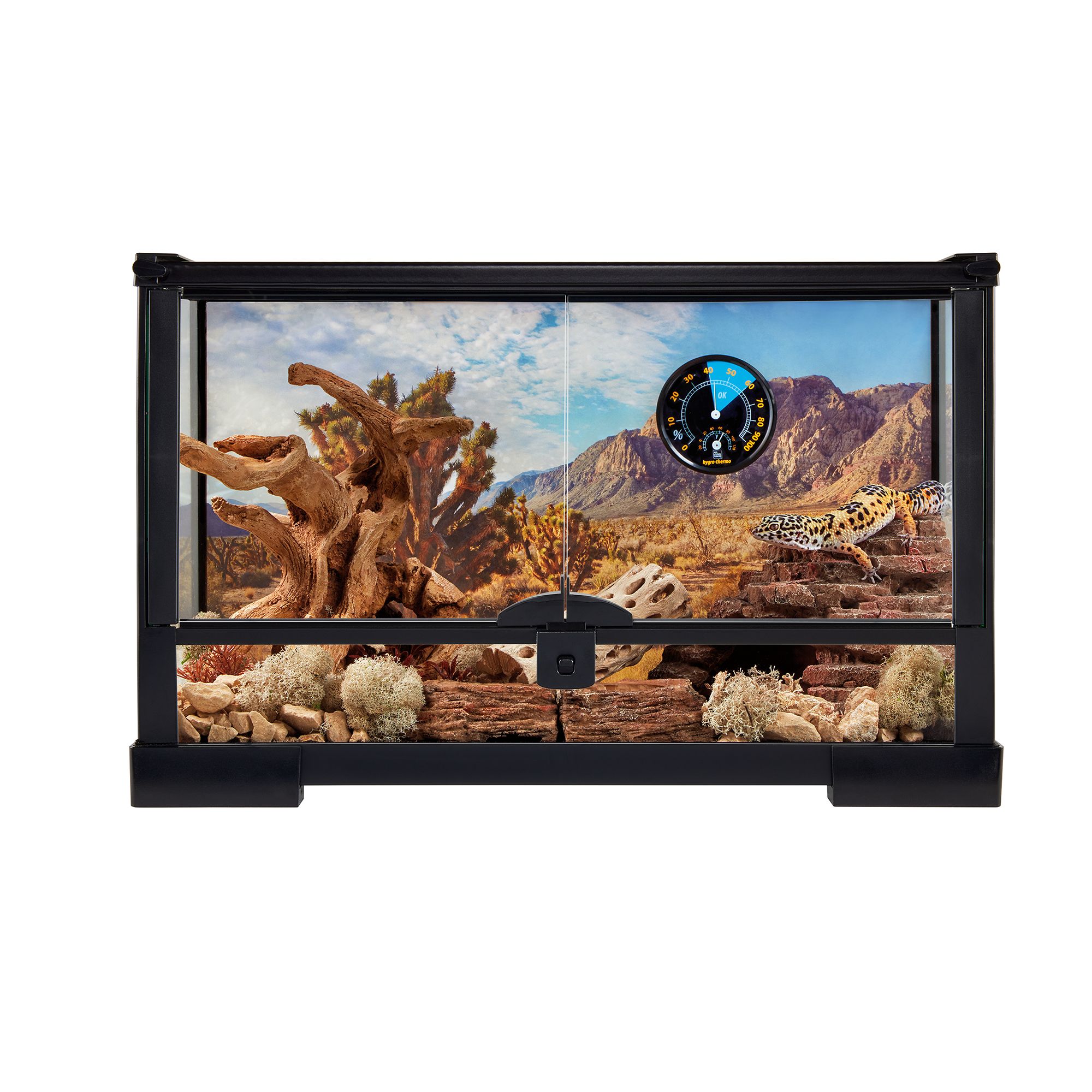 Thrive 10 Gallon Open Glass Terrarium