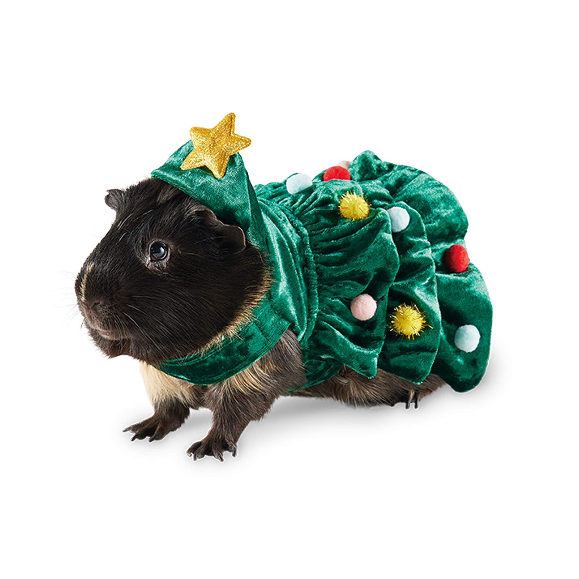 Merry & Bright® Holiday Tree Holiday Small Pet Costume