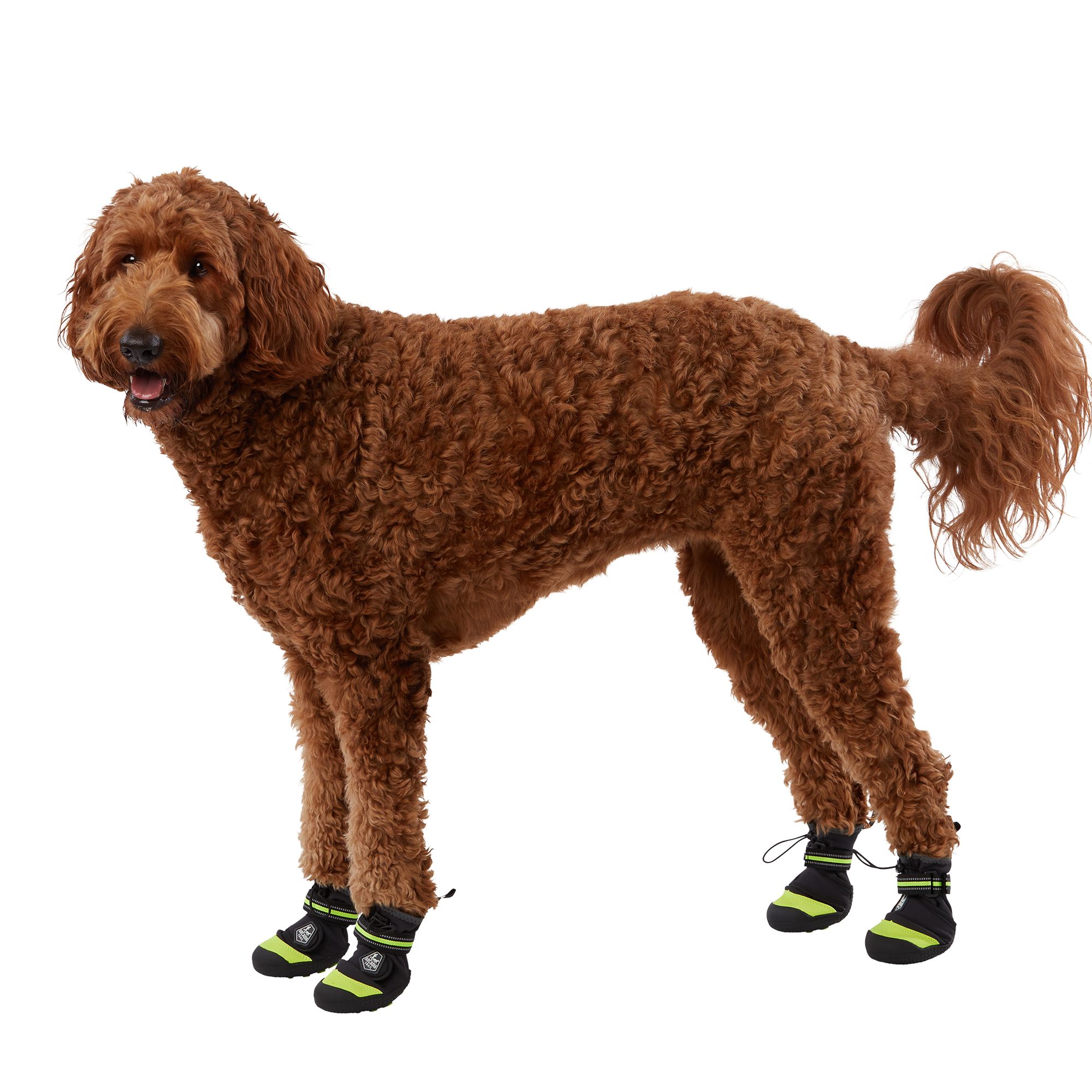 Arcadia Trail™ Year-Round All-Terrain Dog Boots