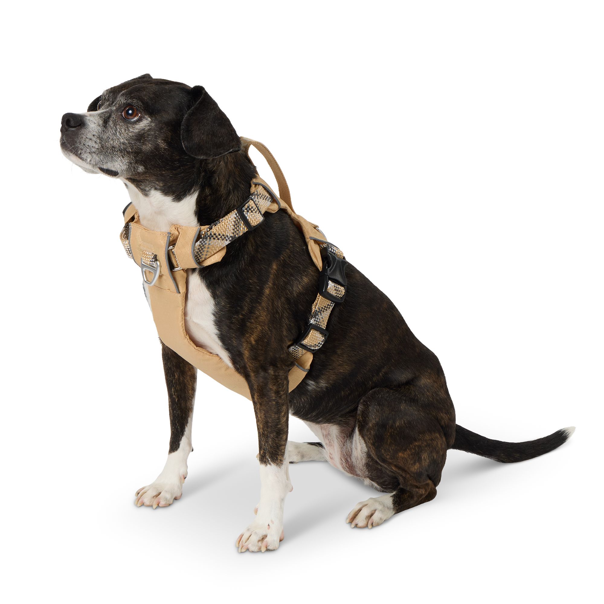 Arcadia Trail® Lightweight Reflective Dog Harness