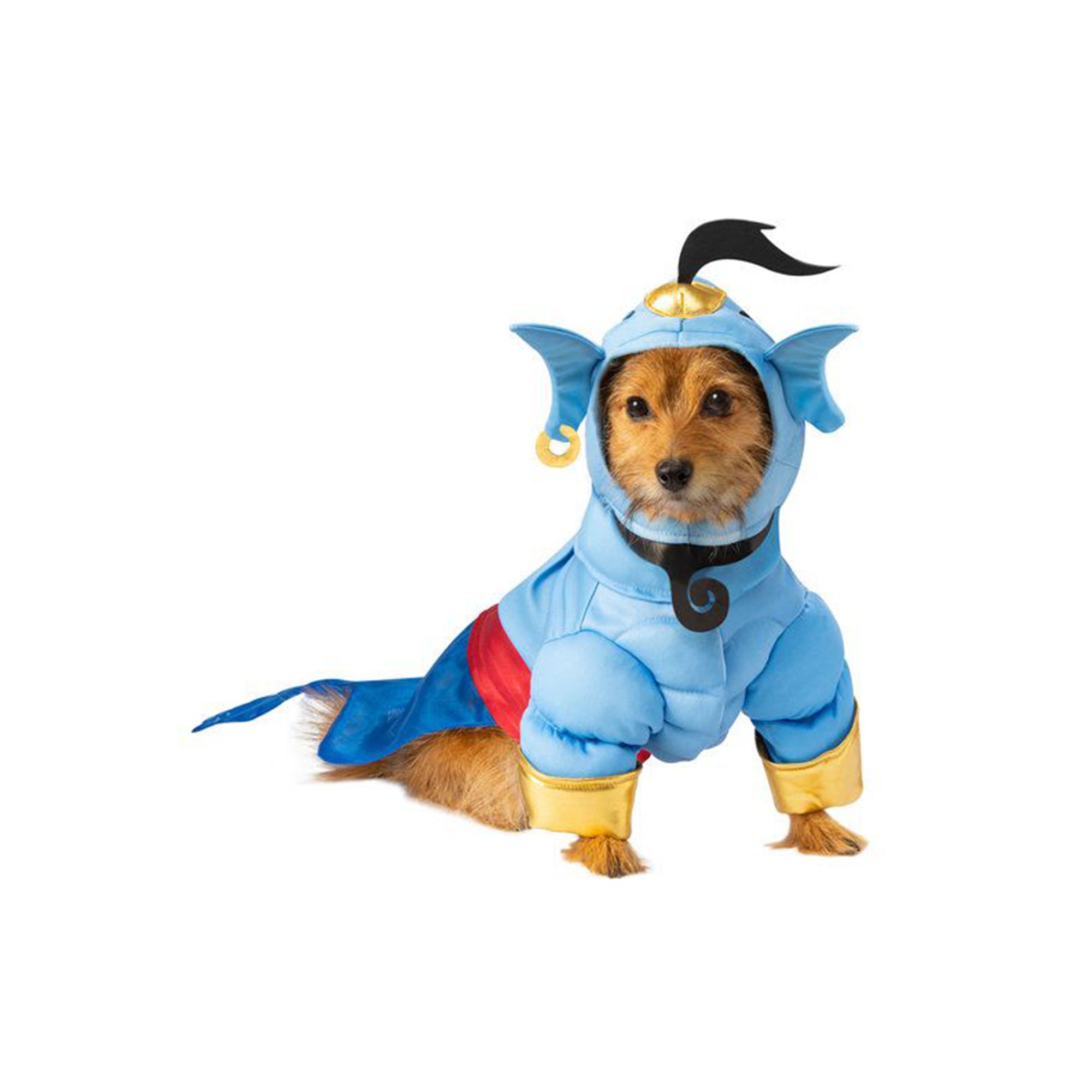 Rubie's Pet Shop Halloween Aladdin Genie Dog & Cat Costume
