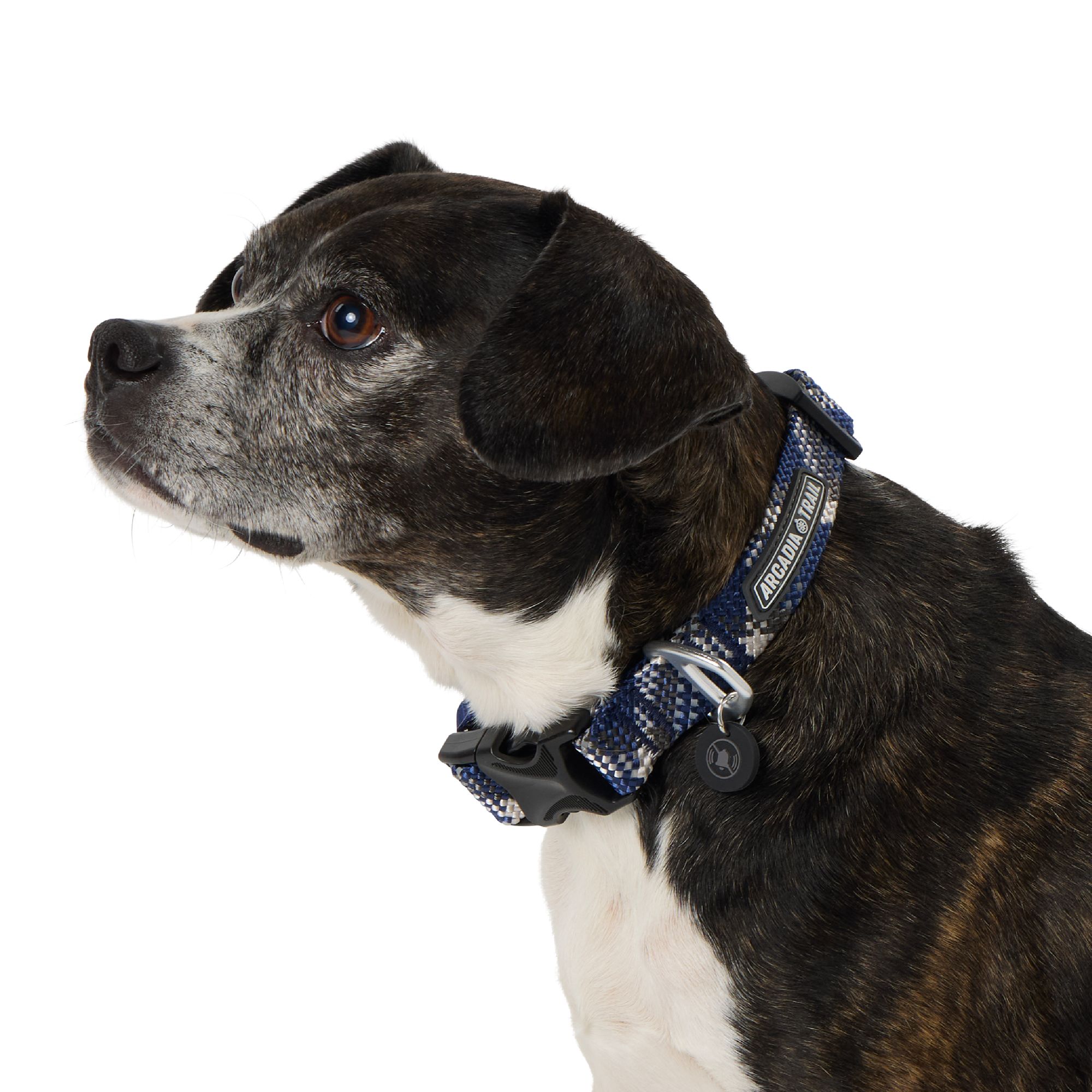Arcadia Trail™ Rope Reflective Dog Collar