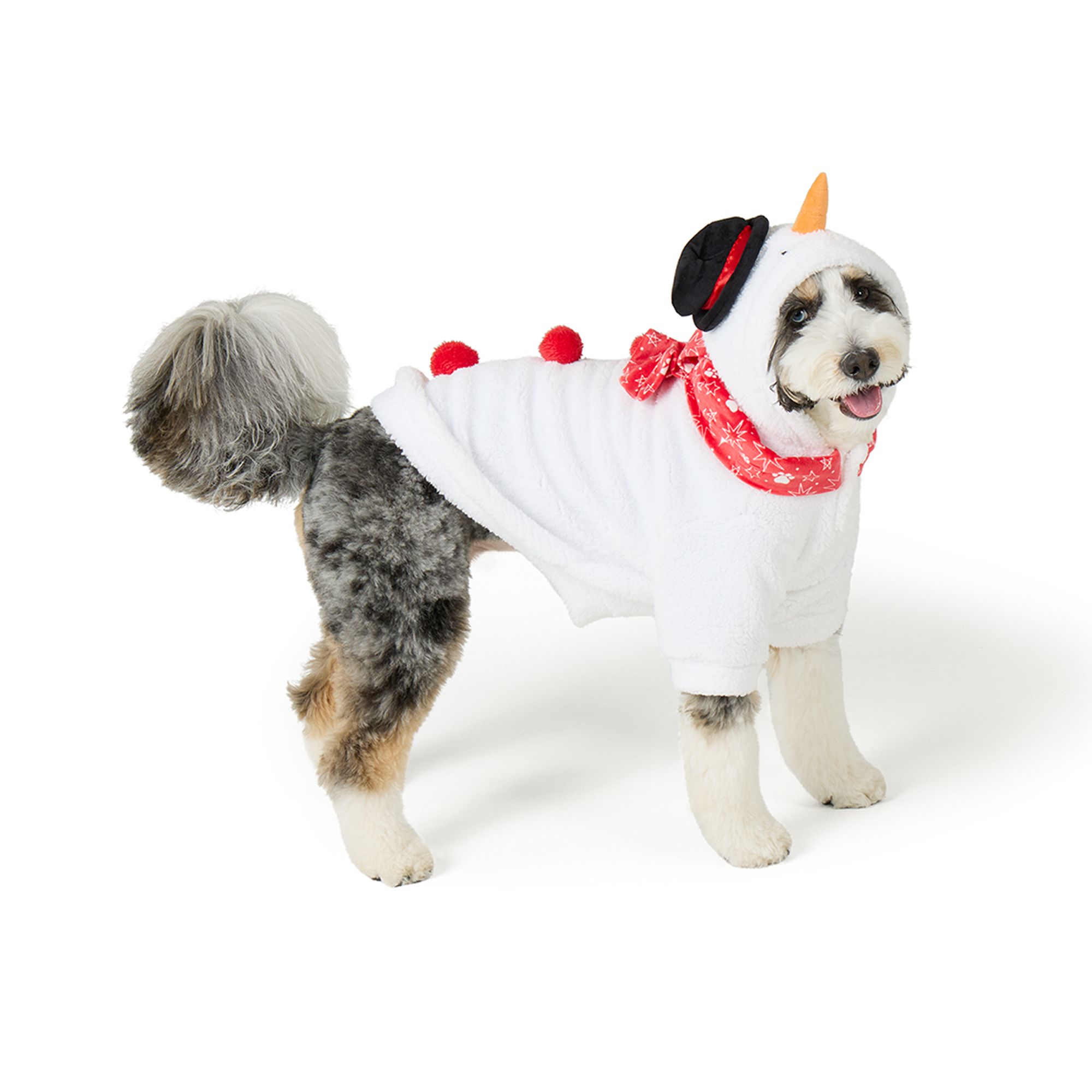 Merry & Bright® Snowman Holiday Costume