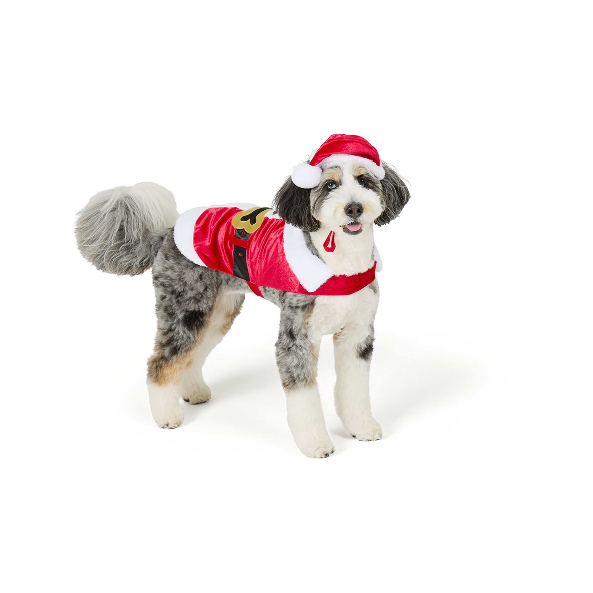 Merry & Bright® Santa Holiday Costume