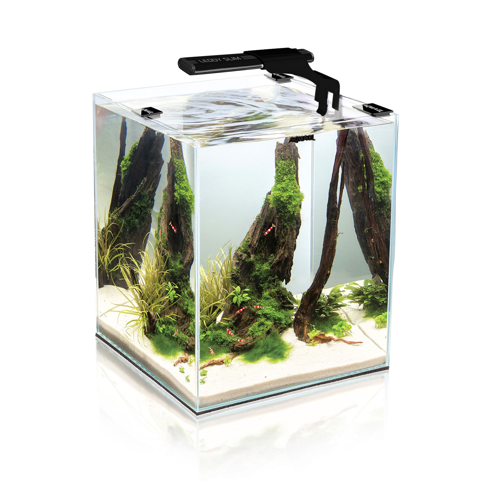 Leddy Slim Sunny Lamp 5W - 8-11.75"
