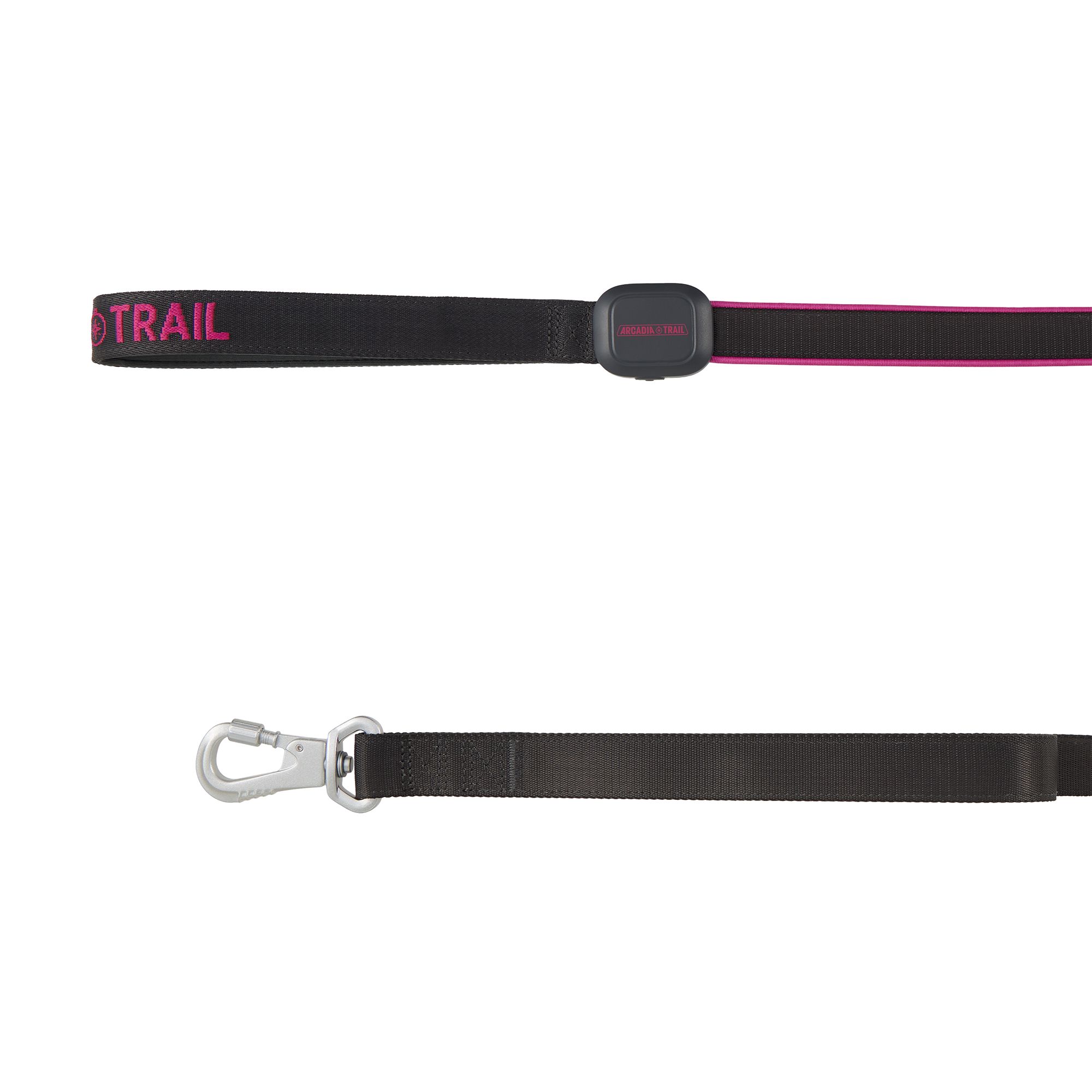 Arcadia Trail® Light-Up LED Dog Leash