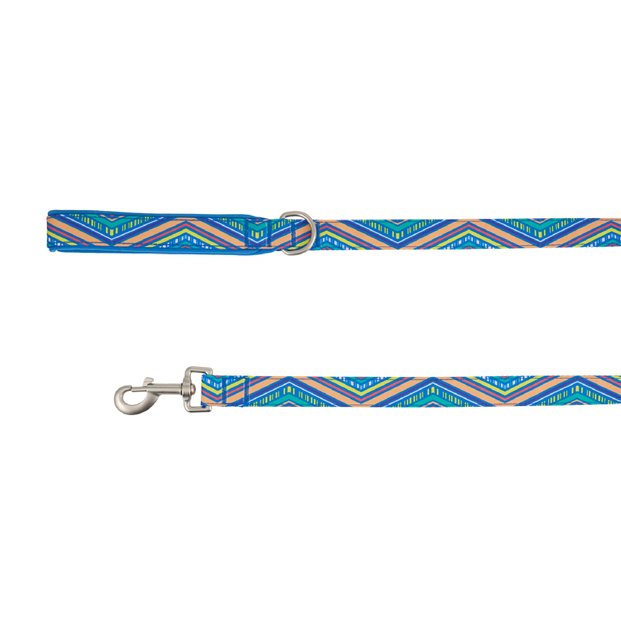 Top Paw® Retro Stripe Dog Leash - 4 Ft