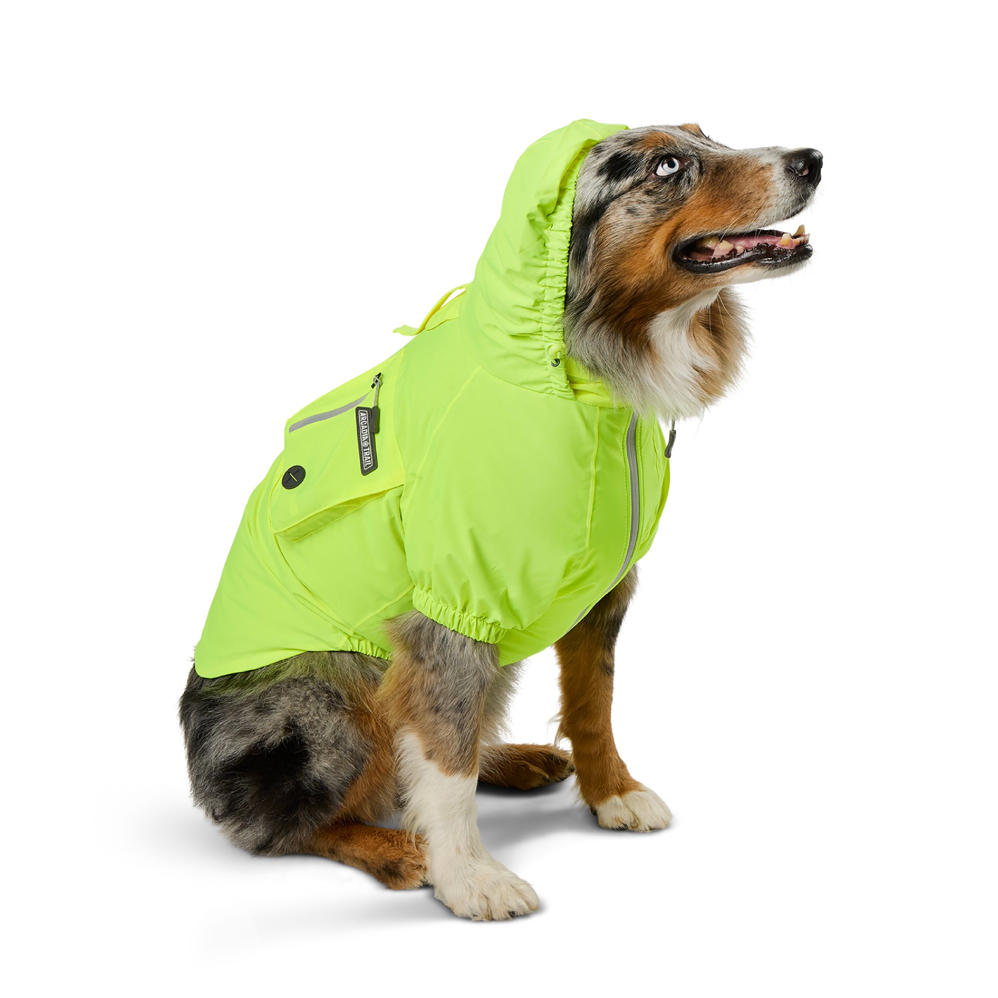 Arcadia Trail® Waterproof Dog Windbreaker