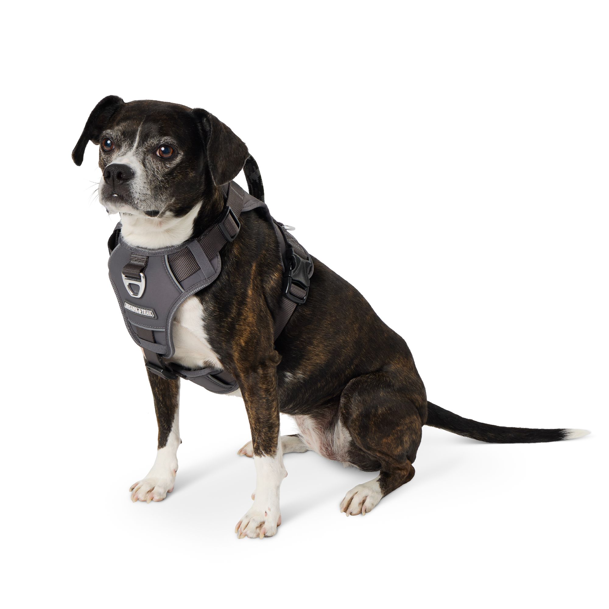 Arcadia Trail® Quick Dry Dog Harness