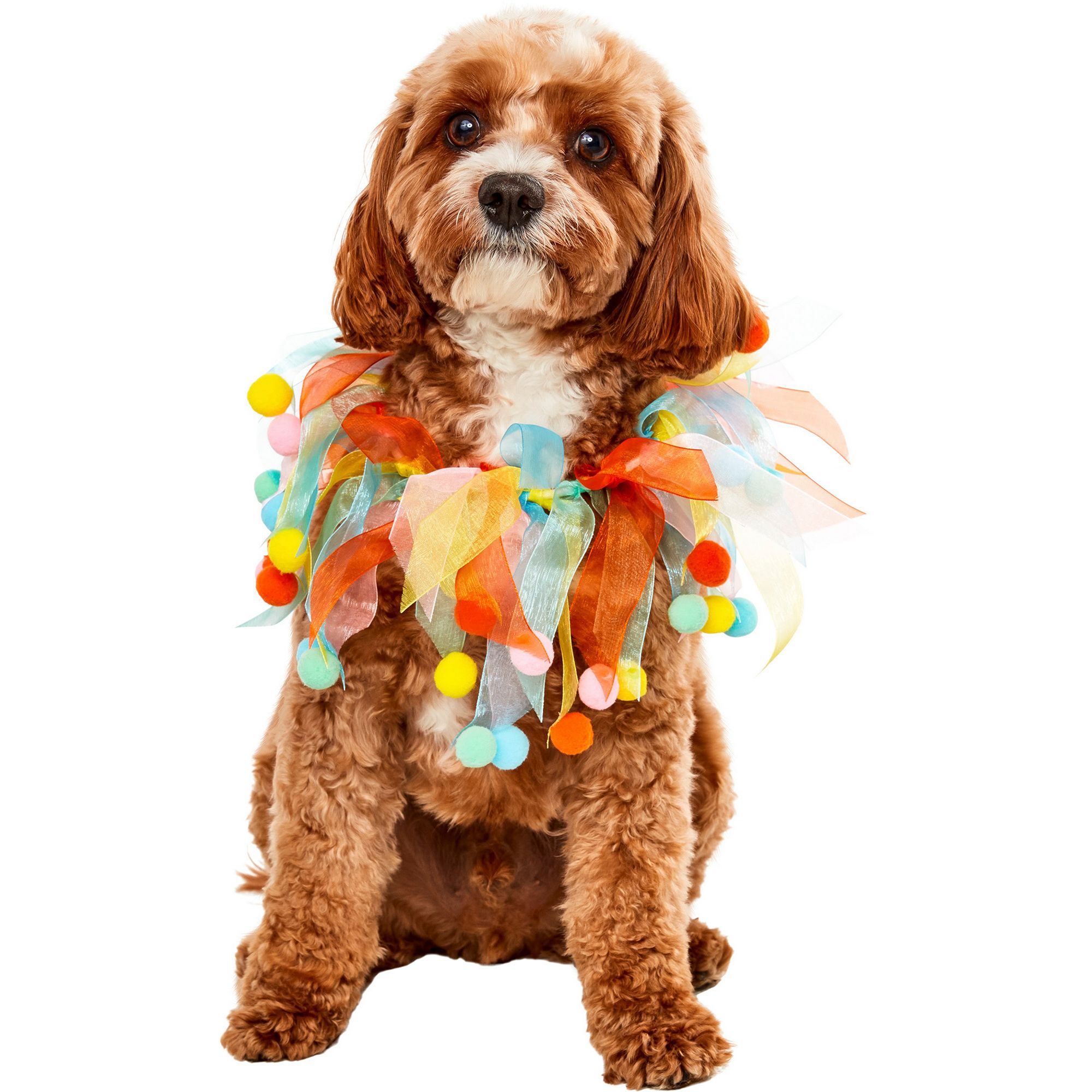 Rubie's Pet Shop Birthday Pom Party Dog Collar