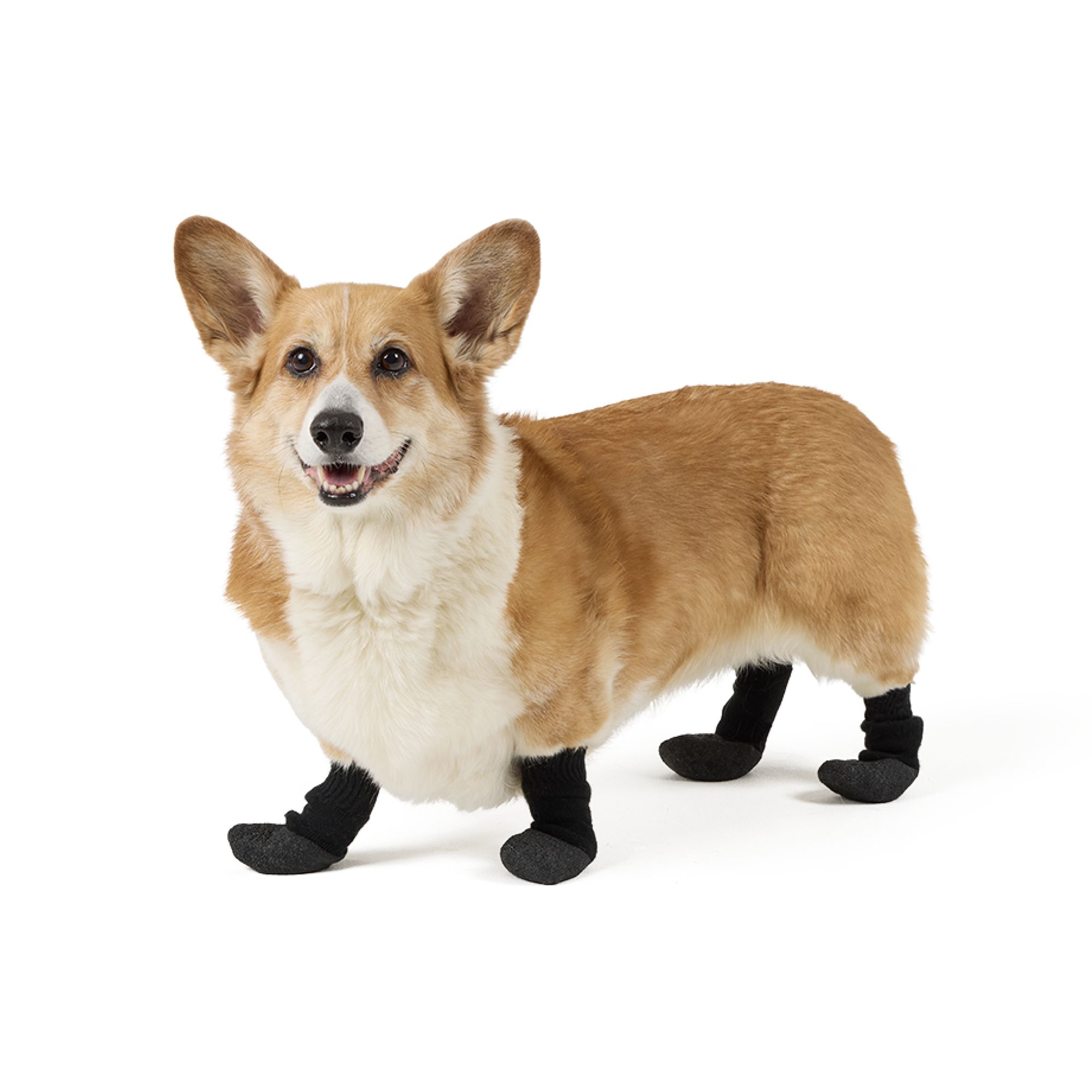 Arcadia Trail® Coated Socks