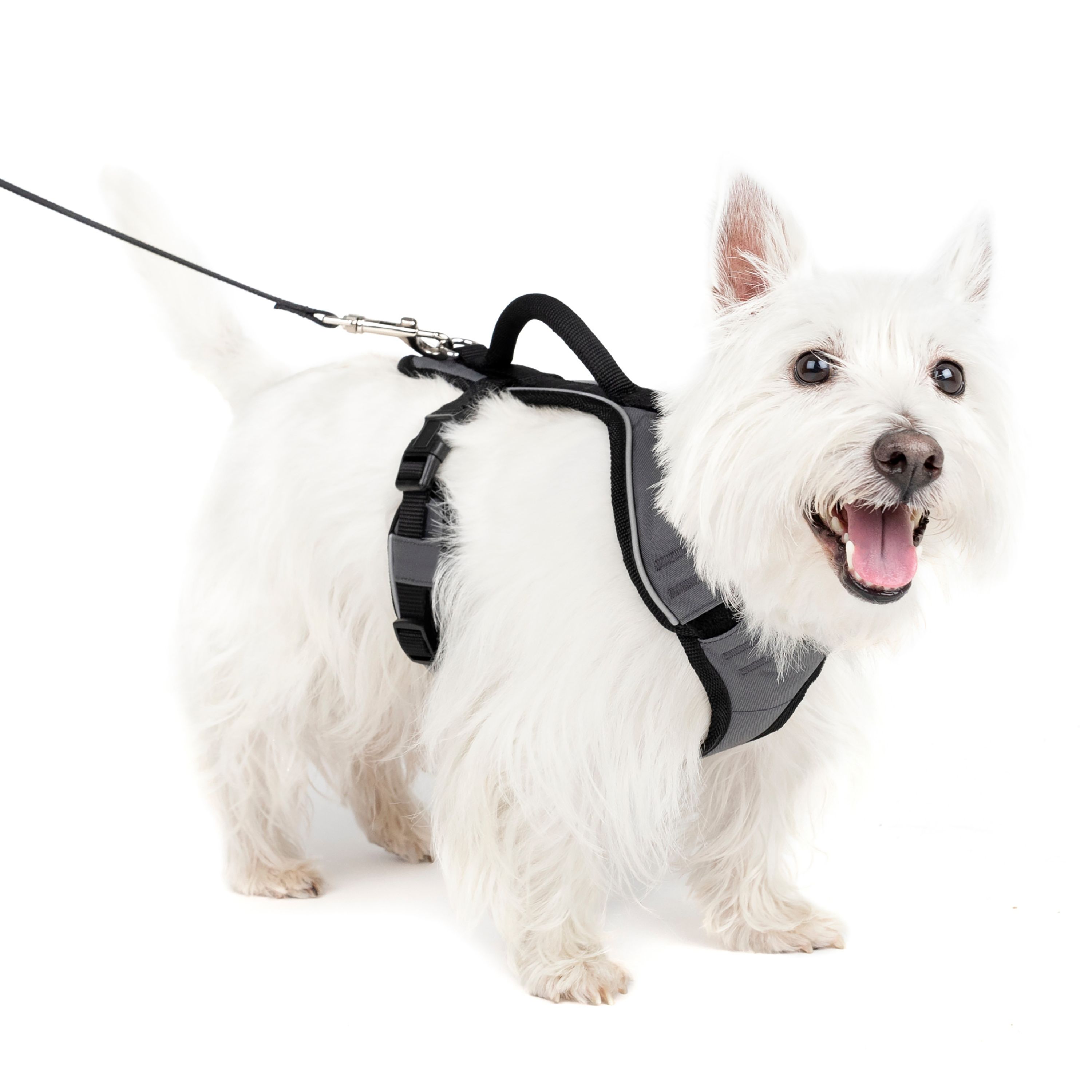 PetSafe® EasySport Nylon Reflective Dog Harness