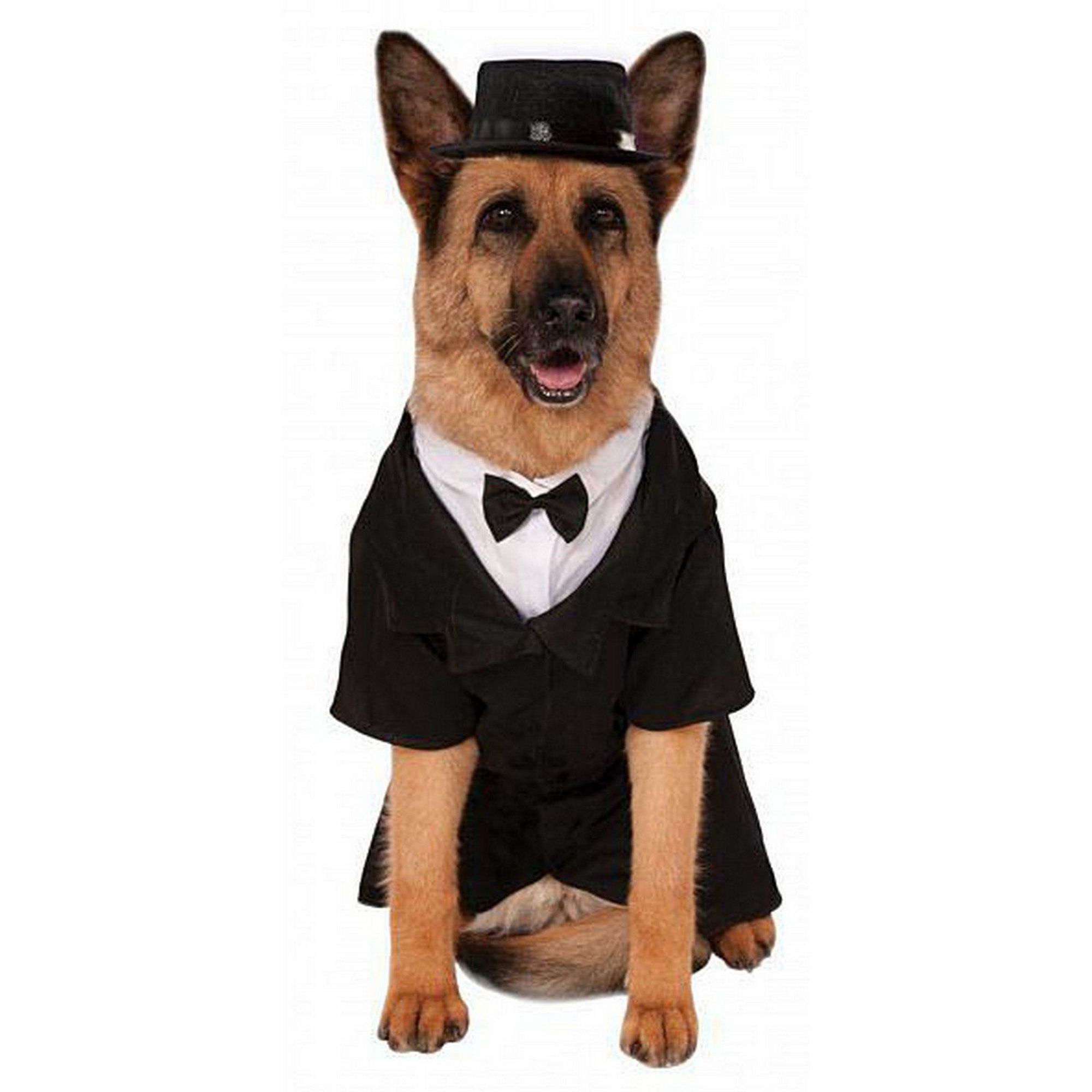 Rubie's Pet Shop Celebrations Dapper Suit & Hat Dog & Cat Costume