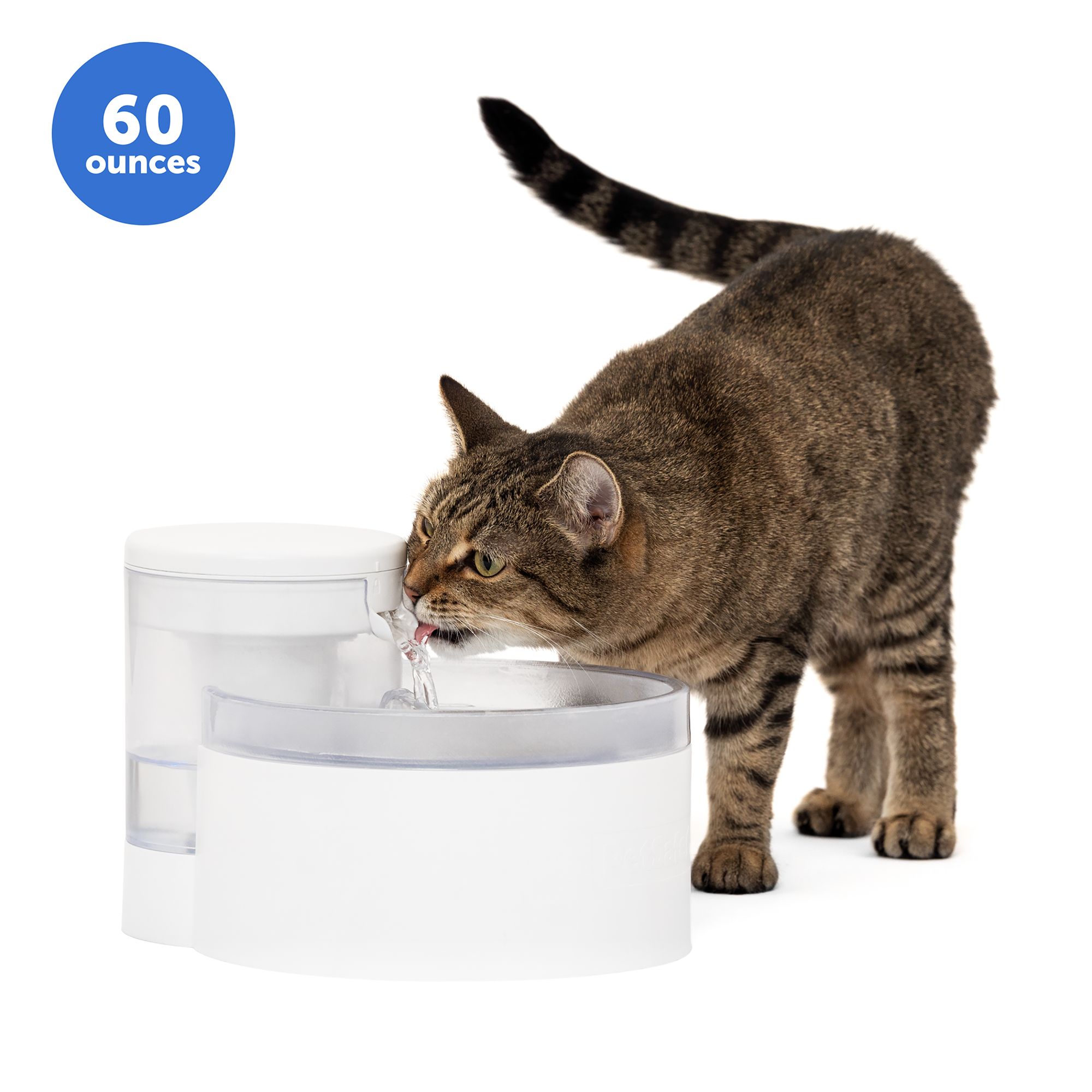PetSafe® Outlast Pumpless Hydrospin Water Fountain 60 oz/1.7L- Water Filter Included