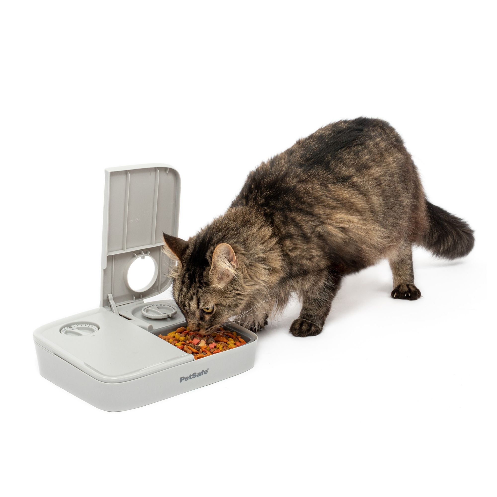 PetSafe® Analog 2 Meal Programmable Pet Feeder - Dry or Semi-Moist Pet Food (3 Cup/16 Ounce)