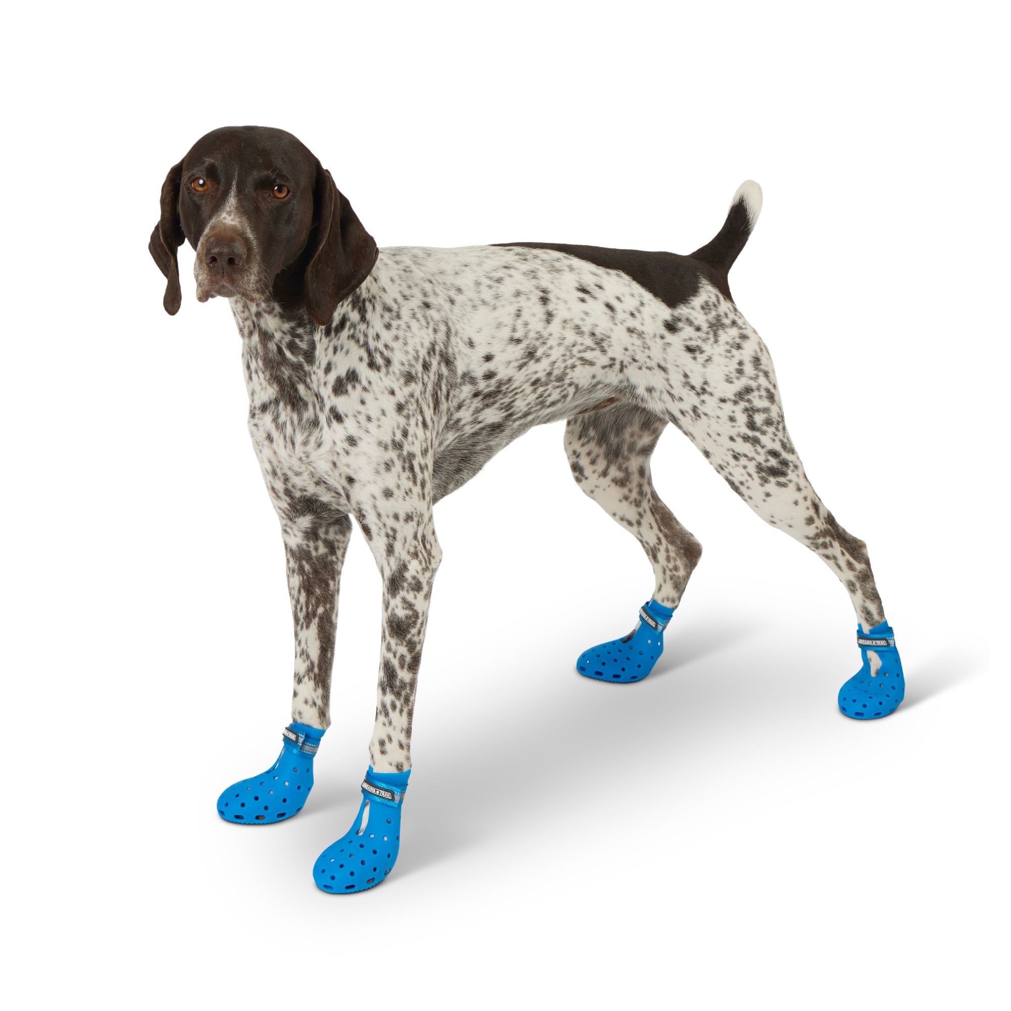Arcadia Trail®™ Year-Round All-Terrain Dog Boots